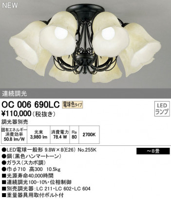 ODELIC �����ǥ�å� �����ǥꥢ OC006690LC �ᥤ��̿�