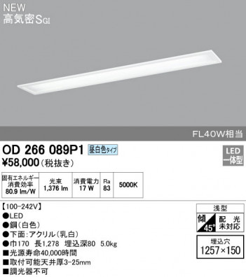 ODELIC �����ǥ�å� ������󥰥饤�� OD266089P1 �ᥤ��̿�