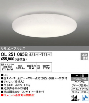 ODELIC �����ǥ�å� ������󥰥饤�� OL251065B �ᥤ��̿�