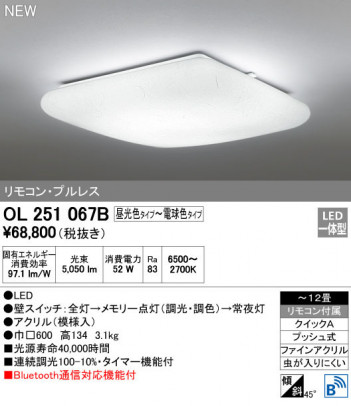 ODELIC ǥå 󥰥饤 OL251067B ᥤ̿