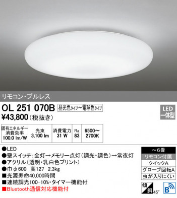 ODELIC �����ǥ�å� ������󥰥饤�� OL251070B �ᥤ��̿�