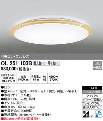 ODELIC �����ǥ�å� ������󥰥饤�� OL251103B �ᥤ��̿�