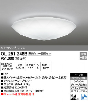 ODELIC �����ǥ�å� ������󥰥饤�� OL251248B �ᥤ��̿�