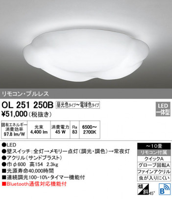 ODELIC ǥå 󥰥饤 OL251250B ᥤ̿