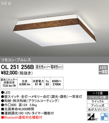 ODELIC �����ǥ�å� ������󥰥饤�� OL251256B �ᥤ��̿�