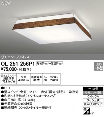 ODELIC �����ǥ�å� ������󥰥饤�� OL251256P1 �ᥤ��̿�