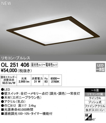 ODELIC �����ǥ�å� ������󥰥饤�� OL251406 �ᥤ��̿�