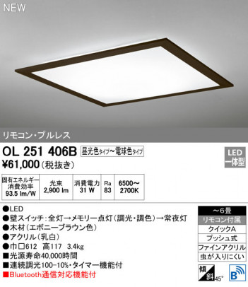 ODELIC �����ǥ�å� ������󥰥饤�� OL251406B �ᥤ��̿�