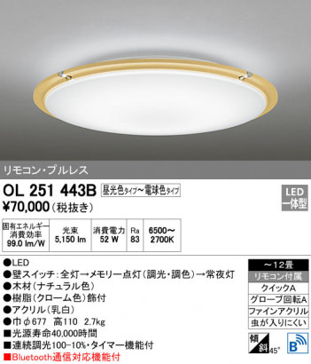 ODELIC �����ǥ�å� ������󥰥饤�� OL251443B �ᥤ��̿�