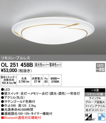 ODELIC �����ǥ�å� ������󥰥饤�� OL251458B �ᥤ��̿�