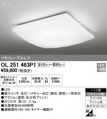 ODELIC �����ǥ�å� ������󥰥饤�� OL251463P1 �ᥤ��̿�