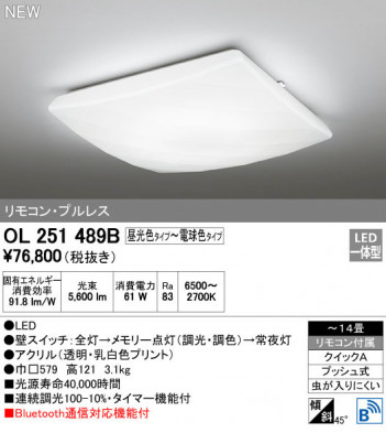 ODELIC �����ǥ�å� ������󥰥饤�� OL251489B �ᥤ��̿�