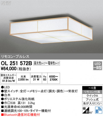 ODELIC �����ǥ�å� ������󥰥饤�� OL251572B �ᥤ��̿�