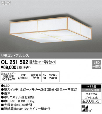 ODELIC �����ǥ�å� ������󥰥饤�� OL251592 �ᥤ��̿�