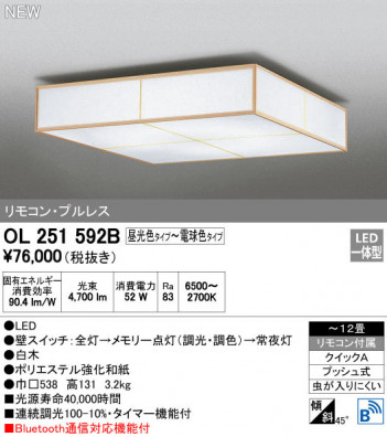 ODELIC �����ǥ�å� ������󥰥饤�� OL251592B �ᥤ��̿�