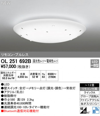 ODELIC �����ǥ�å� ������󥰥饤�� OL251692B �ᥤ��̿�