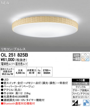 ODELIC �����ǥ�å� ������󥰥饤�� OL251825B ñ�ʲ���