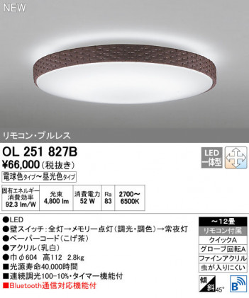 ODELIC �����ǥ�å� ������󥰥饤�� OL251827B ñ�ʲ���