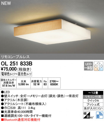 ODELIC �����ǥ�å� ������󥰥饤�� OL251833B ñ�ʲ���