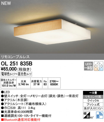 ODELIC �����ǥ�å� ������󥰥饤�� OL251835B ñ�ʲ���