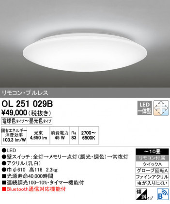 ODELIC ǥå 󥰥饤 OL251029B ñʲ