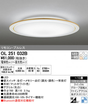 ODELIC �����ǥ�å� ������󥰥饤�� OL251032B ñ�ʲ���