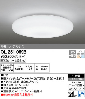 ODELIC �����ǥ�å� ������󥰥饤�� OL251069B ñ�ʲ���