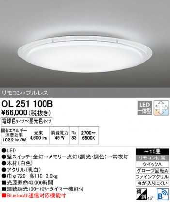 ODELIC �����ǥ�å� ������󥰥饤�� OL251100B ñ�ʲ���