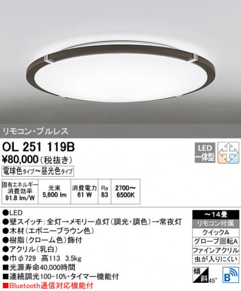 ODELIC �����ǥ�å� ������󥰥饤�� OL251119B ñ�ʲ���