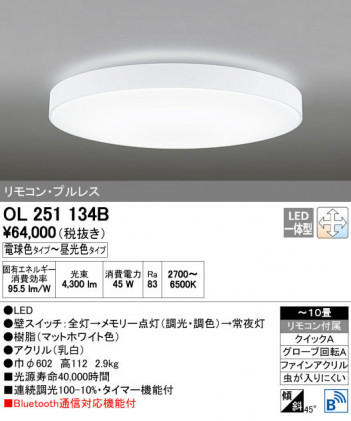 ODELIC �����ǥ�å� ������󥰥饤�� OL251134B ñ�ʲ���