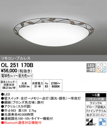 ODELIC �����ǥ�å� ������󥰥饤�� OL251170B ñ�ʲ���