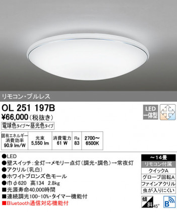 ODELIC �����ǥ�å� ������󥰥饤�� OL251197B ñ�ʲ���