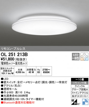 ODELIC �����ǥ�å� ������󥰥饤�� OL251213B ñ�ʲ���