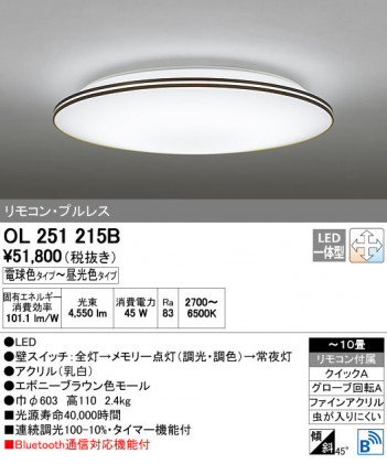 ODELIC �����ǥ�å� ������󥰥饤�� OL251215B ñ�ʲ���