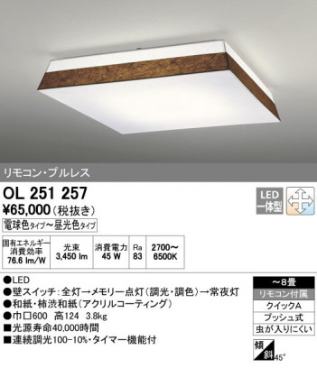 ODELIC ǥå 󥰥饤 OL251257 ñʲ