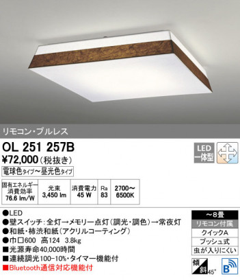 ODELIC �����ǥ�å� ������󥰥饤�� OL251257B ñ�ʲ���