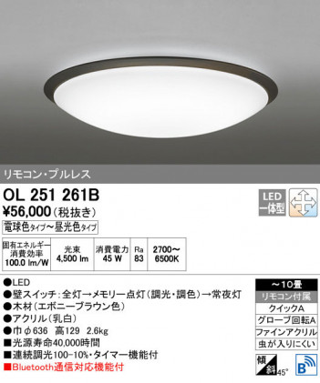 ODELIC �����ǥ�å� ������󥰥饤�� OL251261B ñ�ʲ���