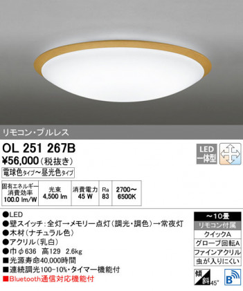 ODELIC �����ǥ�å� ������󥰥饤�� OL251267B ñ�ʲ���