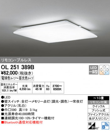 ODELIC ǥå 󥰥饤 OL251389B ñʲ