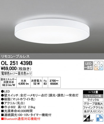 ODELIC �����ǥ�å� ������󥰥饤�� OL251439B ñ�ʲ���