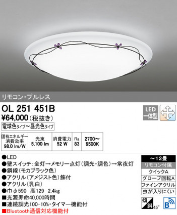 ODELIC �����ǥ�å� ������󥰥饤�� OL251451B ñ�ʲ���