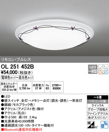 ODELIC �����ǥ�å� ������󥰥饤�� OL251452B ñ�ʲ���