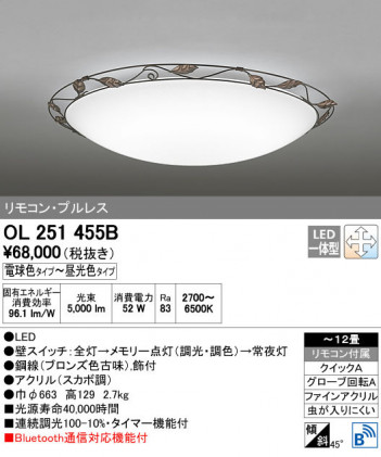 ODELIC �����ǥ�å� ������󥰥饤�� OL251455B ñ�ʲ���