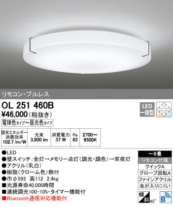 ODELIC �����ǥ�å� ������󥰥饤�� OL251460B ñ�ʲ���