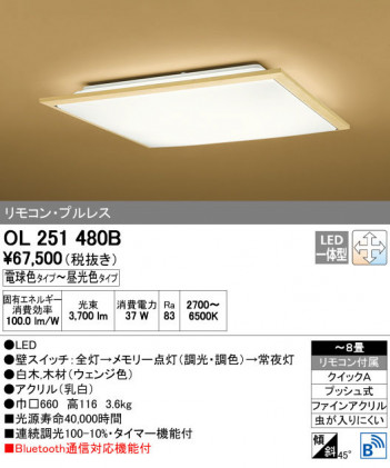 ODELIC �����ǥ�å� ������󥰥饤�� OL251480B ñ�ʲ���