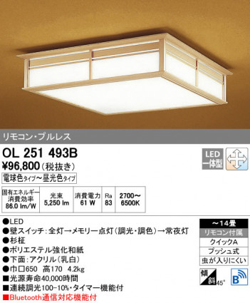 ODELIC �����ǥ�å� ������󥰥饤�� OL251493B ñ�ʲ���