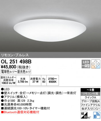 ODELIC �����ǥ�å� ������󥰥饤�� OL251498B ñ�ʲ���