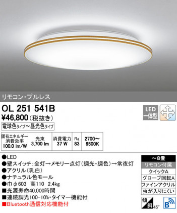 ODELIC �����ǥ�å� ������󥰥饤�� OL251541B ñ�ʲ���