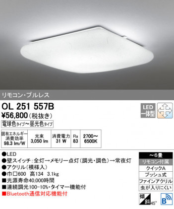 ODELIC �����ǥ�å� ������󥰥饤�� OL251557B ñ�ʲ���