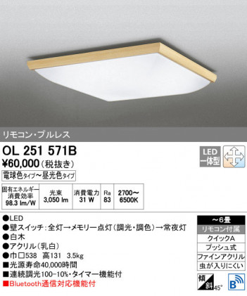 ODELIC �����ǥ�å� ������󥰥饤�� OL251571B ñ�ʲ���